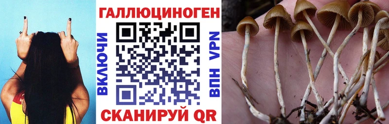 Галлюциногенные грибы прущие грибы  Нефтекамск 
