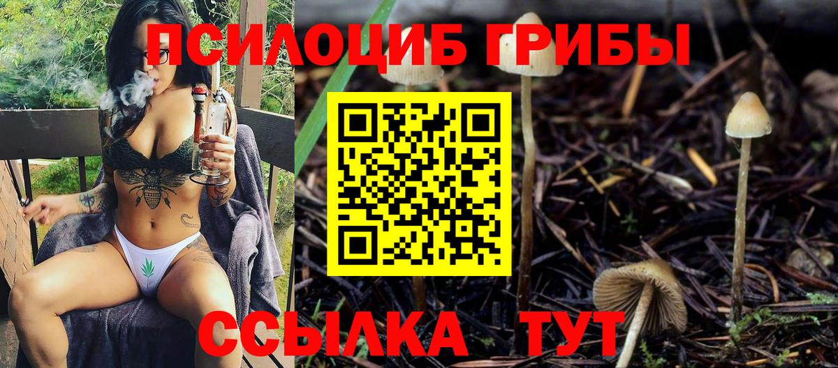 Галлюциногенные грибы прущие грибы Нефтекамск