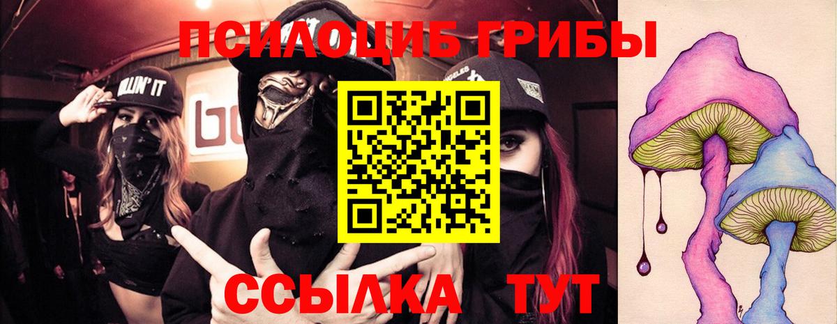 Галлюциногенные грибы MAGIC MUSHROOMS  Вход с VPN  Нефтекамск  Галлюциногенные грибы Cubensis 